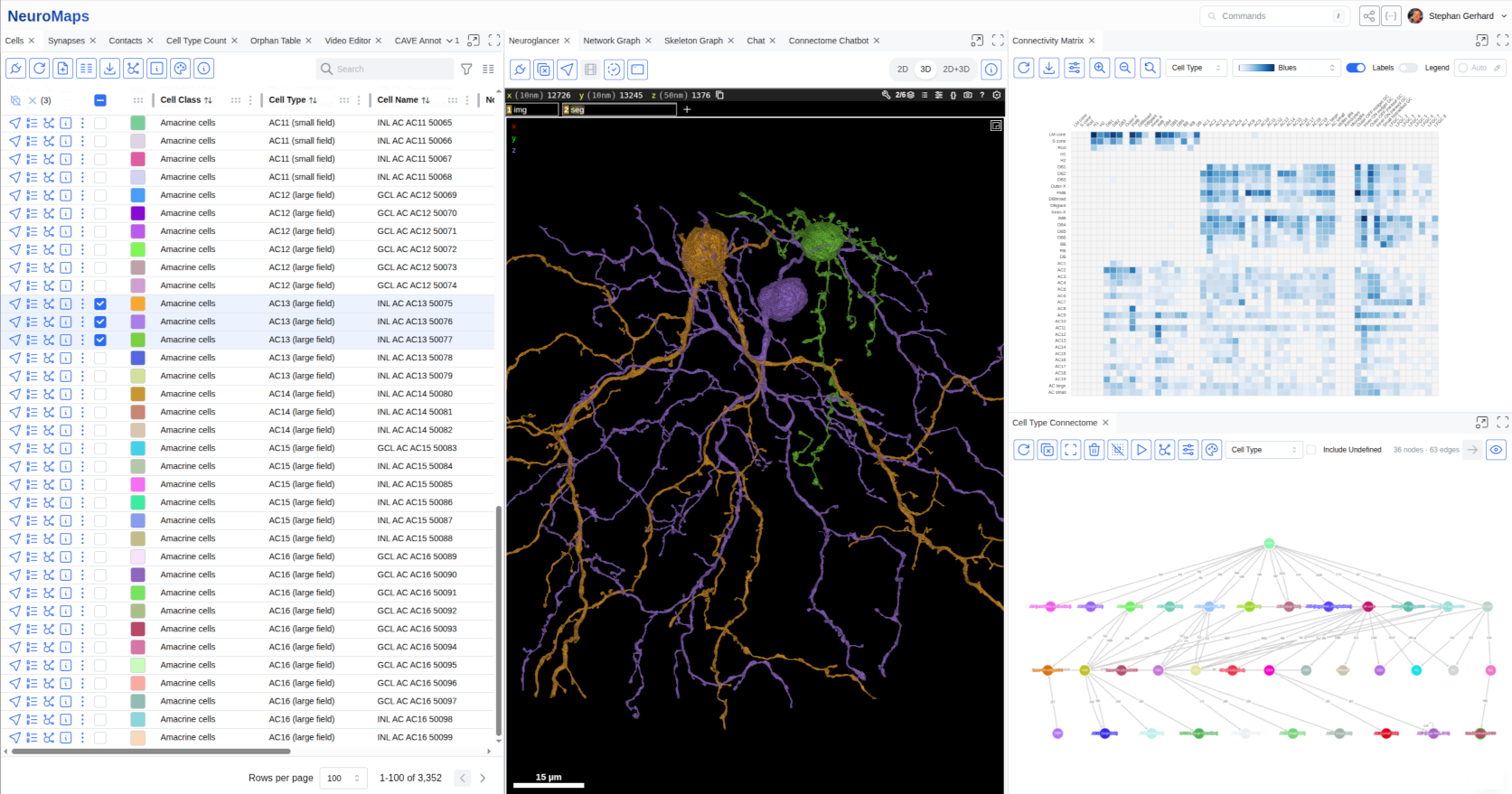 Connectome Exploration Workspace