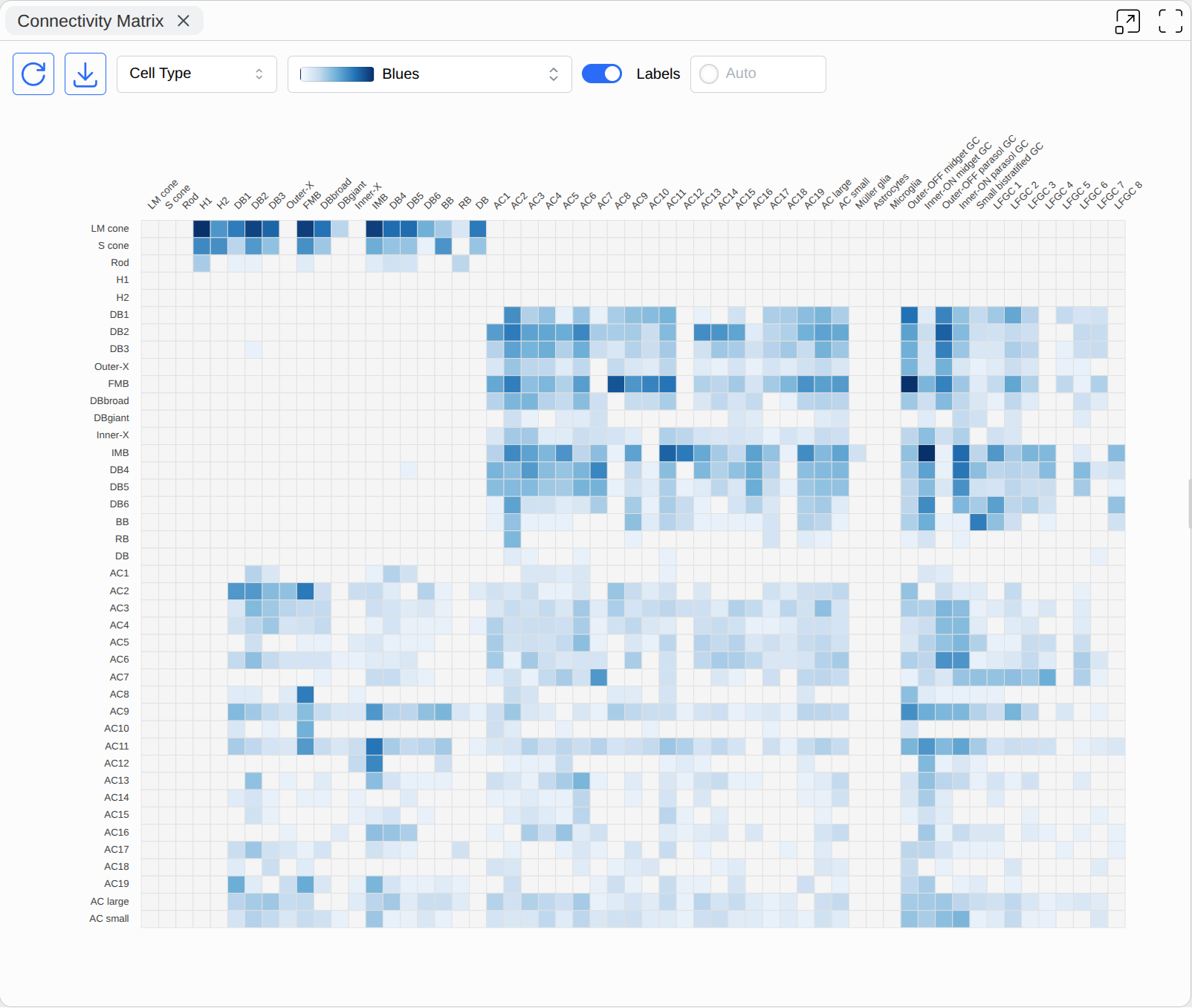 Connectivity Matrix