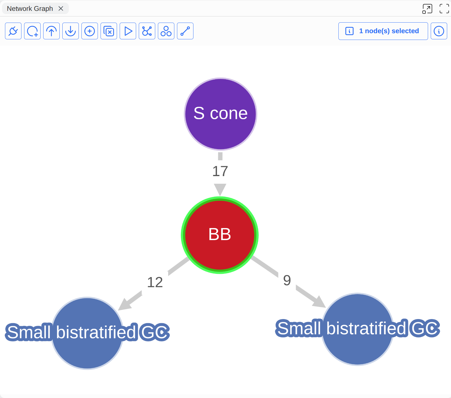 Cell Network Graph